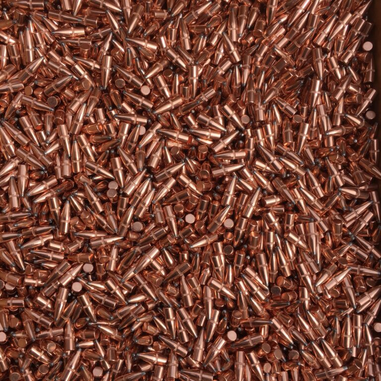 55 grain soft point reloading bullets