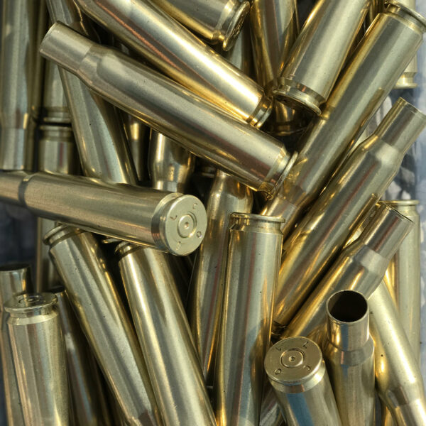 polished 50 BMG brass