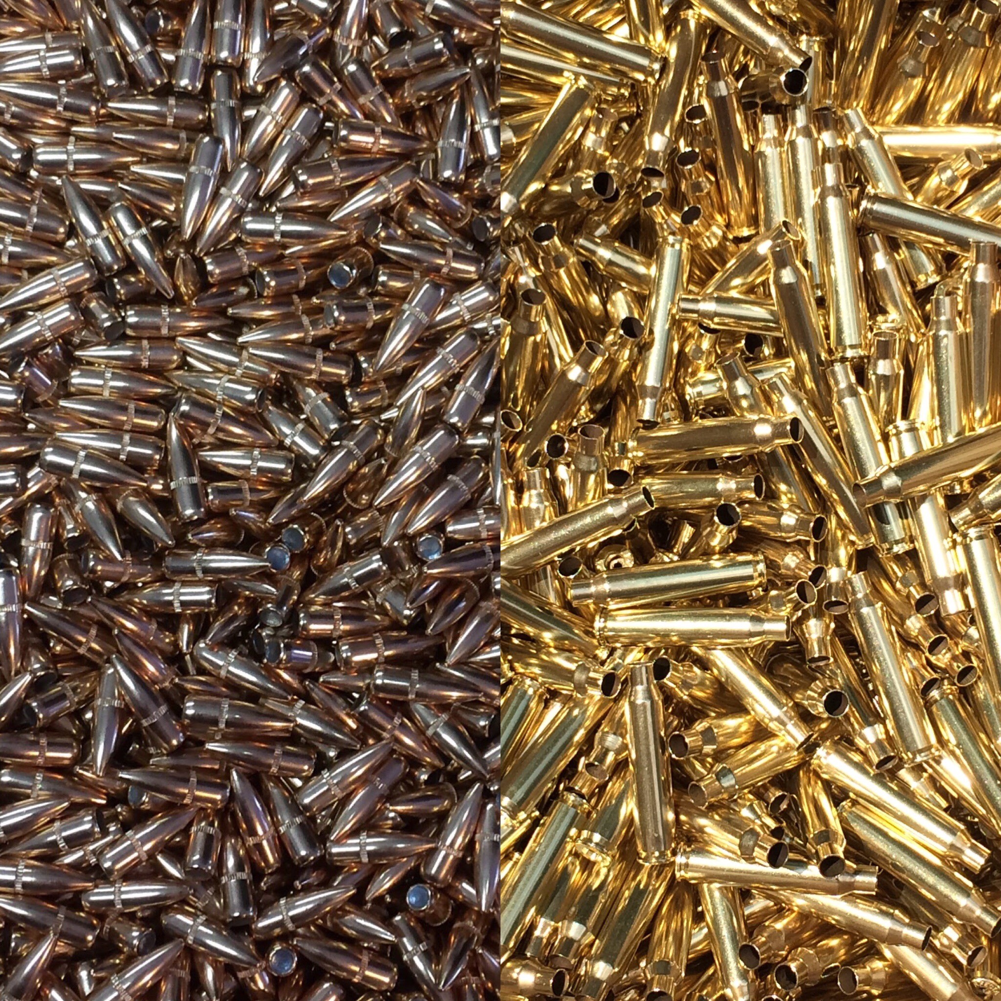 223/5.56 brass and bullets- Hornady Bullets Blue Ridge Brass
