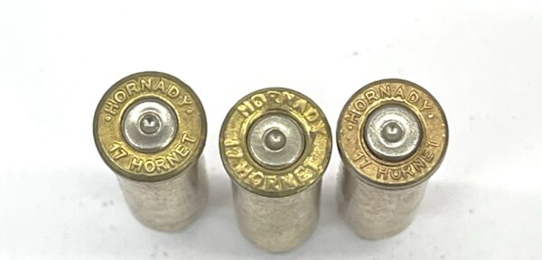17 Hornet- 25ct