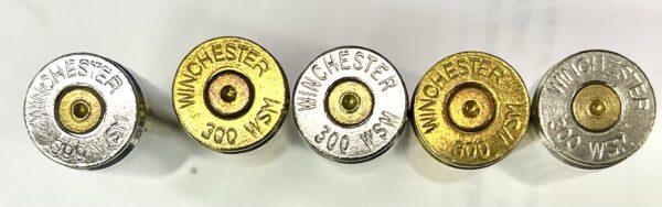 300 Win. Short Mag (WSM)- 40ct